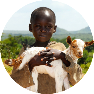 Liberian boy carrying a goat